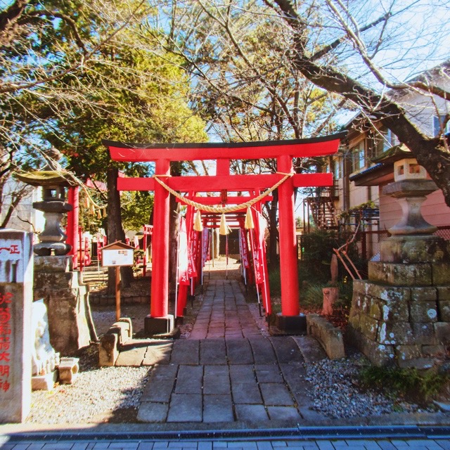 たくさんの可愛いお狐様が見つけられる☆於菊稲荷神社の御朱印(群馬県